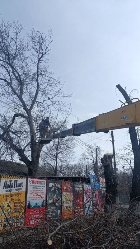 Работники коммунальных служб продолжают заботиться о нашем городе! В Ровеньках продолжается опиловка деревьев! Работники коммунальных служб продолжают заботиться о нашем городе! В Ровеньках продолжается опиловка деревьев!