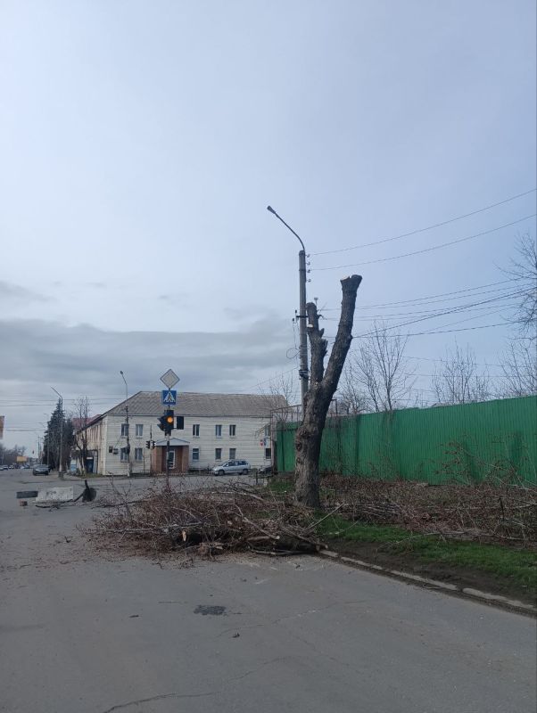 Работники коммунальных служб продолжают заботиться о нашем городе! В Ровеньках продолжается опиловка деревьев! Работники коммунальных служб продолжают заботиться о нашем городе! В Ровеньках продолжается опиловка деревьев!