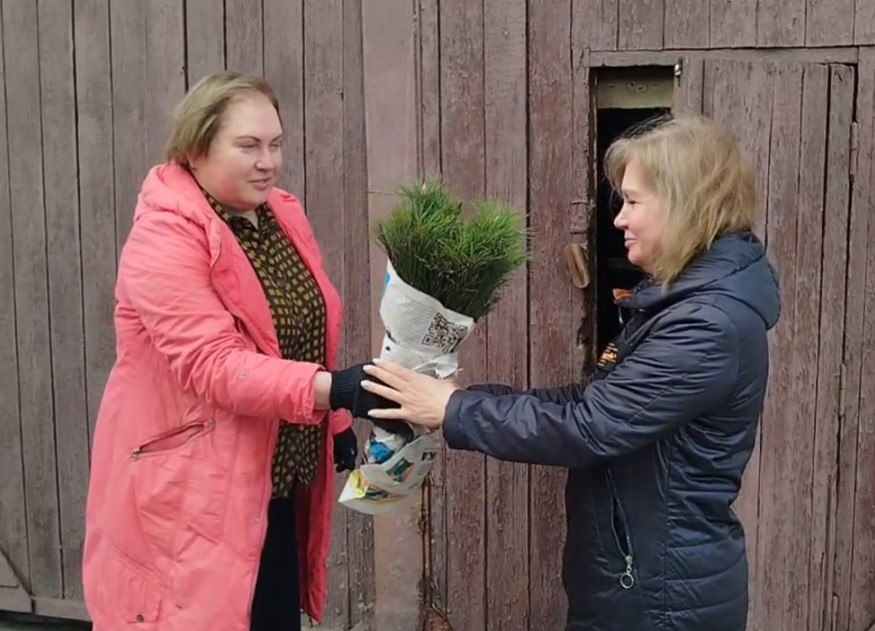 2 апреля, в рамках акции «Сад памяти», приуроченной к 80-летию Победы в Великой Отечественной войне, на территории Администрации городского округа состоялась раздача саженцев сосны 2 апреля, в рамках акции «Сад памяти», приуроченной к 80-летию Победы в Великой Отечественной войне, на территории Администрации городского округа состоялась раздача саженцев сосны