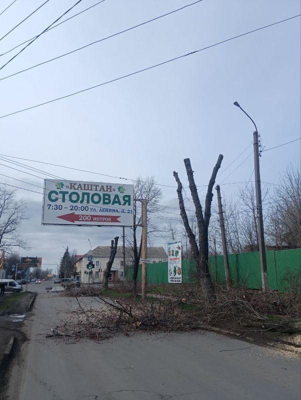 Работники коммунальных служб продолжают заботиться о нашем городе! В Ровеньках продолжается опиловка деревьев! Работники коммунальных служб продолжают заботиться о нашем городе! В Ровеньках продолжается опиловка деревьев!