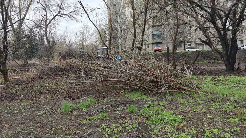 Виктория Сергеева: Коммунальщики в действии. Коммунальные предприятия продолжают работы по поддержанию чистоты и порядка в городе Виктория Сергеева: Коммунальщики в действии. Коммунальные предприятия продолжают работы по поддержанию чистоты и порядка в городе