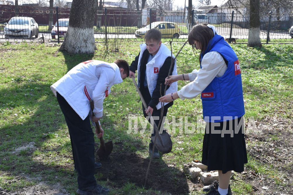 В Ровеньках прошла акция «Сад памяти» В Ровеньках прошла акция «Сад памяти»
