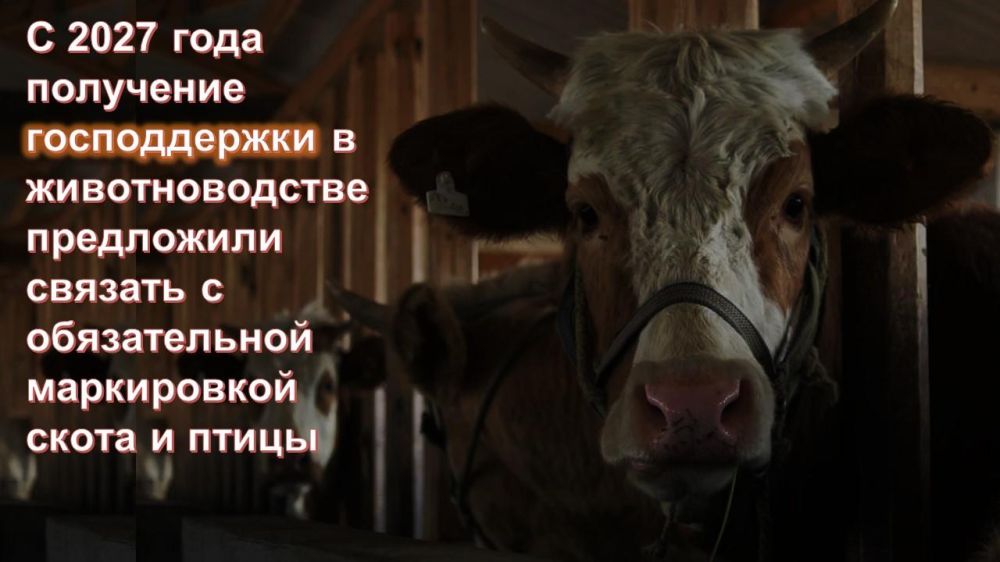 Первый турнир по функциональному многоборью состоится в Луганске Первый турнир по функциональному многоборью состоится в Луганске