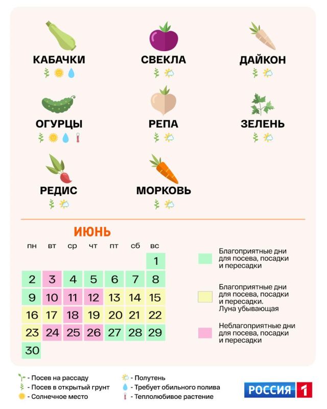 Дачники и огородники, внимание! Представляем вам календарь посадок на 2025 год Дачники и огородники, внимание! Представляем вам календарь посадок на 2025 год