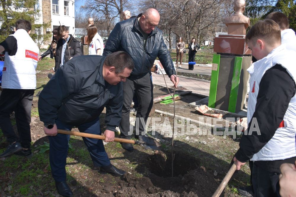 В Ровеньках прошла акция «Сад памяти» В Ровеньках прошла акция «Сад памяти»