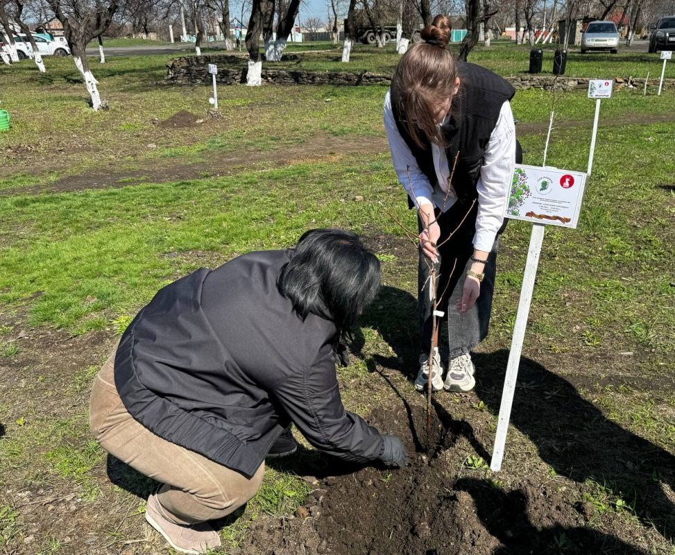 В этом году акция "Сад памяти" приобретает особое значение - во всех субъектах РФ, включая исторические регионы, высадят памятные деревья, в рамках празднования 80-летия Победы В этом году акция "Сад памяти" приобретает особое значение - во всех субъектах РФ, включая исторические регионы, высадят памятные деревья, в рамках празднования 80-летия Победы