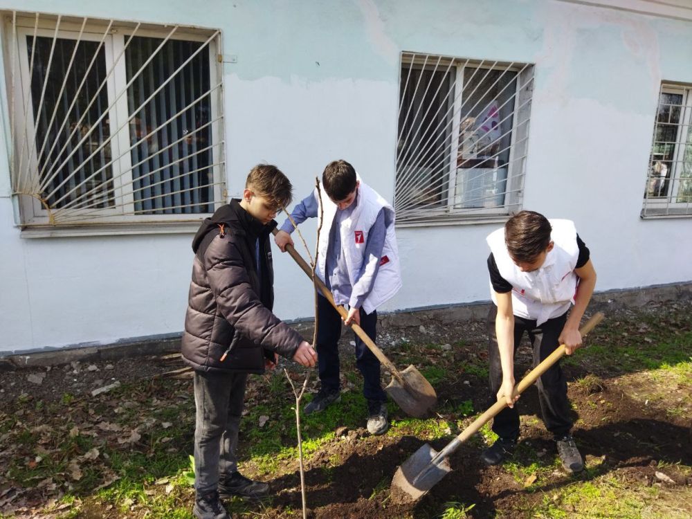 «Сад памяти» – в благодарность героям! «Сад памяти» – в благодарность героям!