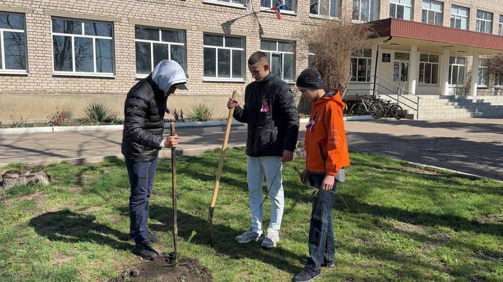 Единороссы высадили «Аллеи памяти» в старобельских школах в честь участников Великой Отечественной войны Единороссы высадили «Аллеи памяти» в старобельских школах в честь участников Великой Отечественной войны