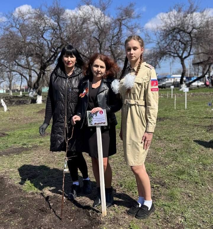 В этом году акция "Сад памяти" приобретает особое значение - во всех субъектах РФ, включая исторические регионы, высадят памятные деревья, в рамках празднования 80-летия Победы В этом году акция "Сад памяти" приобретает особое значение - во всех субъектах РФ, включая исторические регионы, высадят памятные деревья, в рамках празднования 80-летия Победы