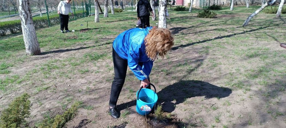 Единороссы высадили «Аллеи памяти» в старобельских школах в честь участников Великой Отечественной войны Единороссы высадили «Аллеи памяти» в старобельских школах в честь участников Великой Отечественной войны