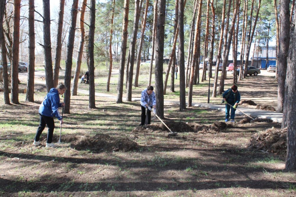 Новопсковский муниципальный округ присоединился к масштабной республиканской акции "Чистая Республика - 2025"! Новопсковский муниципальный округ присоединился к масштабной республиканской акции "Чистая Республика - 2025"!