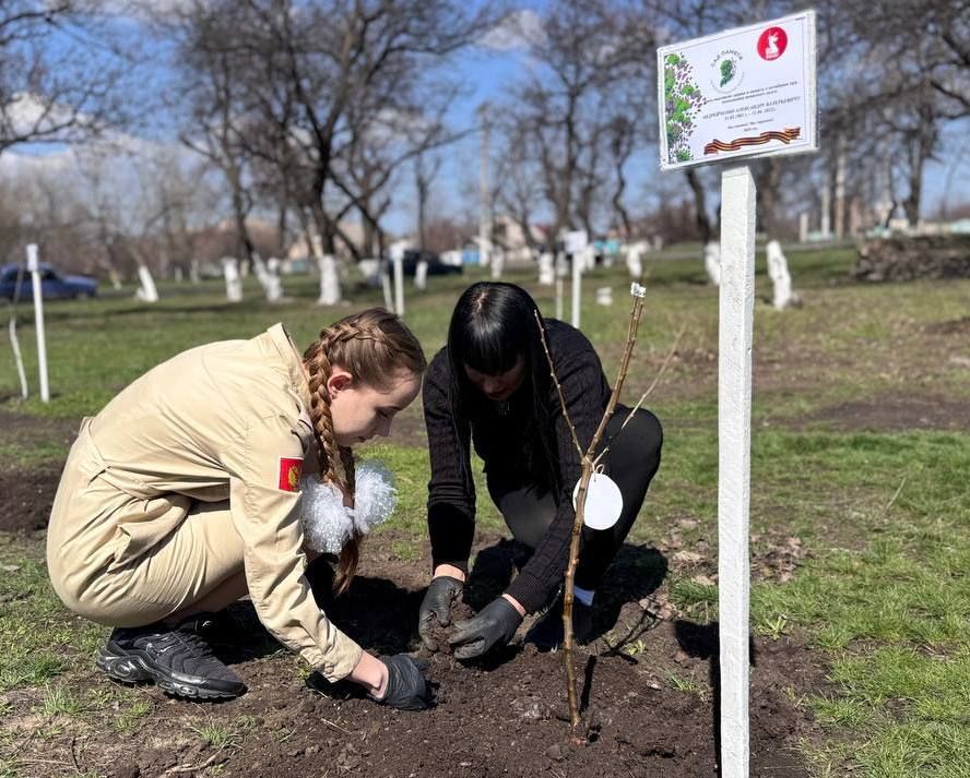 В этом году акция "Сад памяти" приобретает особое значение - во всех субъектах РФ, включая исторические регионы, высадят памятные деревья, в рамках празднования 80-летия Победы В этом году акция "Сад памяти" приобретает особое значение - во всех субъектах РФ, включая исторические регионы, высадят памятные деревья, в рамках празднования 80-летия Победы