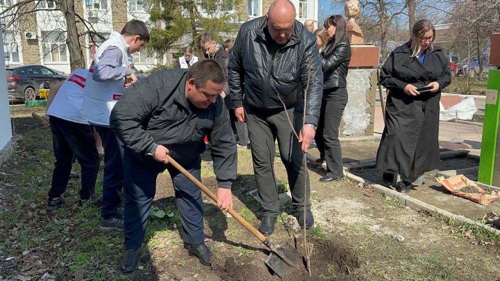 «Сад памяти» – в благодарность героям! «Сад памяти» – в благодарность героям!