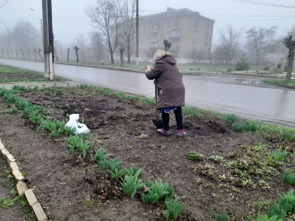 К акции "Чистая Республика" присоединились муниципальные учреждения города Петровское К акции "Чистая Республика" присоединились муниципальные учреждения города Петровское
