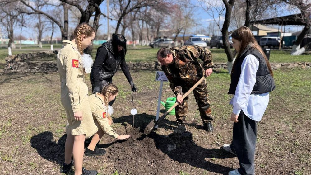 В этом году акция "Сад памяти" приобретает особое значение - во всех субъектах РФ, включая исторические регионы, высадят памятные деревья, в рамках празднования 80-летия Победы В этом году акция "Сад памяти" приобретает особое значение - во всех субъектах РФ, включая исторические регионы, высадят памятные деревья, в рамках празднования 80-летия Победы
