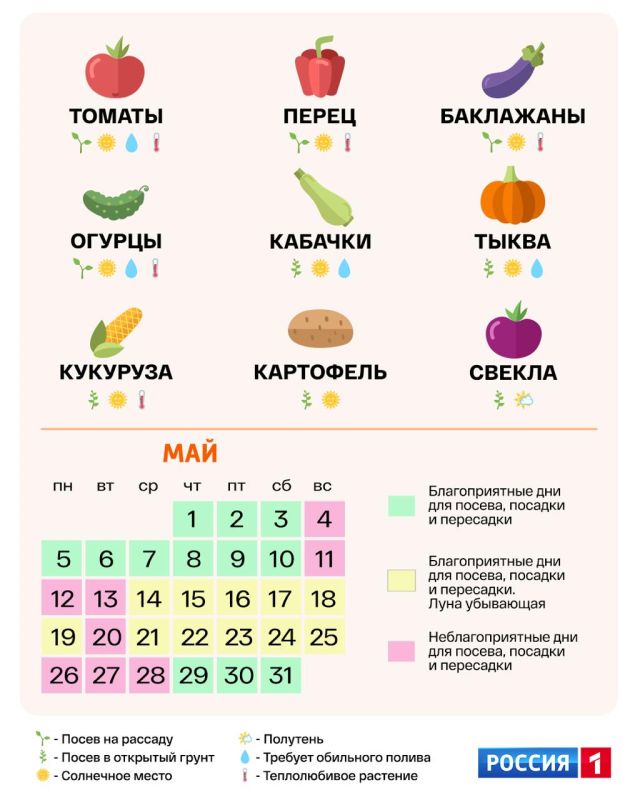 Дачники и огородники, внимание! Представляем вам календарь посадок на 2025 год Дачники и огородники, внимание! Представляем вам календарь посадок на 2025 год