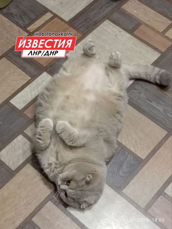 Мошенники массово рассылают SMS о «записи на прием» россиянам Мошенники массово рассылают SMS о «записи на прием» россиянам