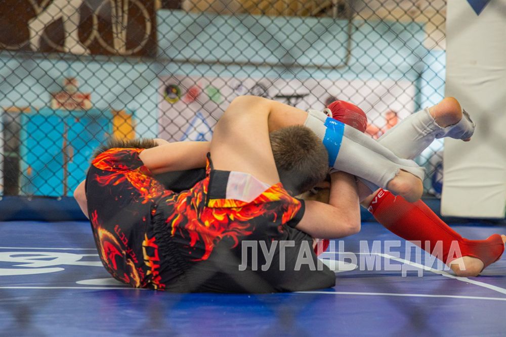 В Луганске проходят чемпионат и первенство ЛНР по ММА В Луганске проходят чемпионат и первенство ЛНР по ММА