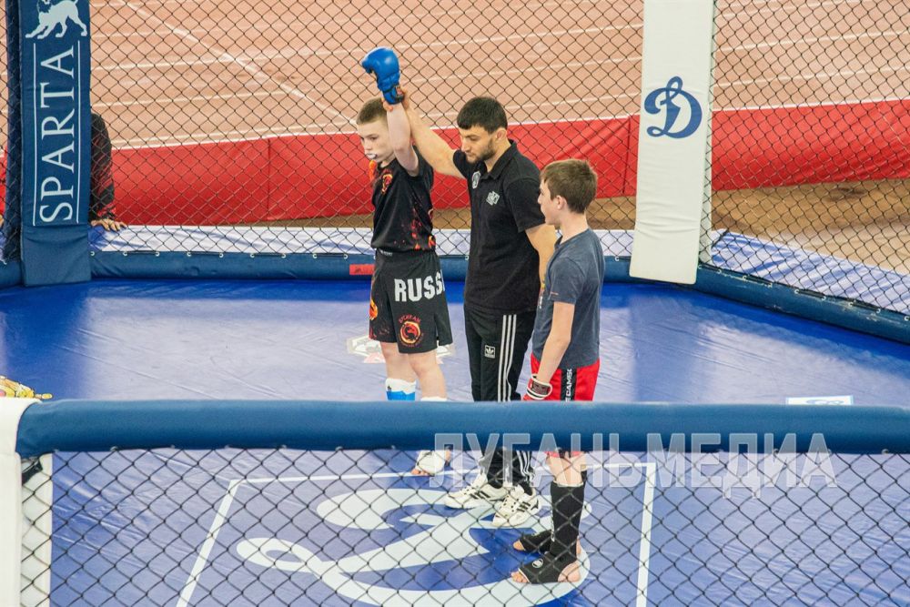 В Луганске проходят чемпионат и первенство ЛНР по ММА В Луганске проходят чемпионат и первенство ЛНР по ММА