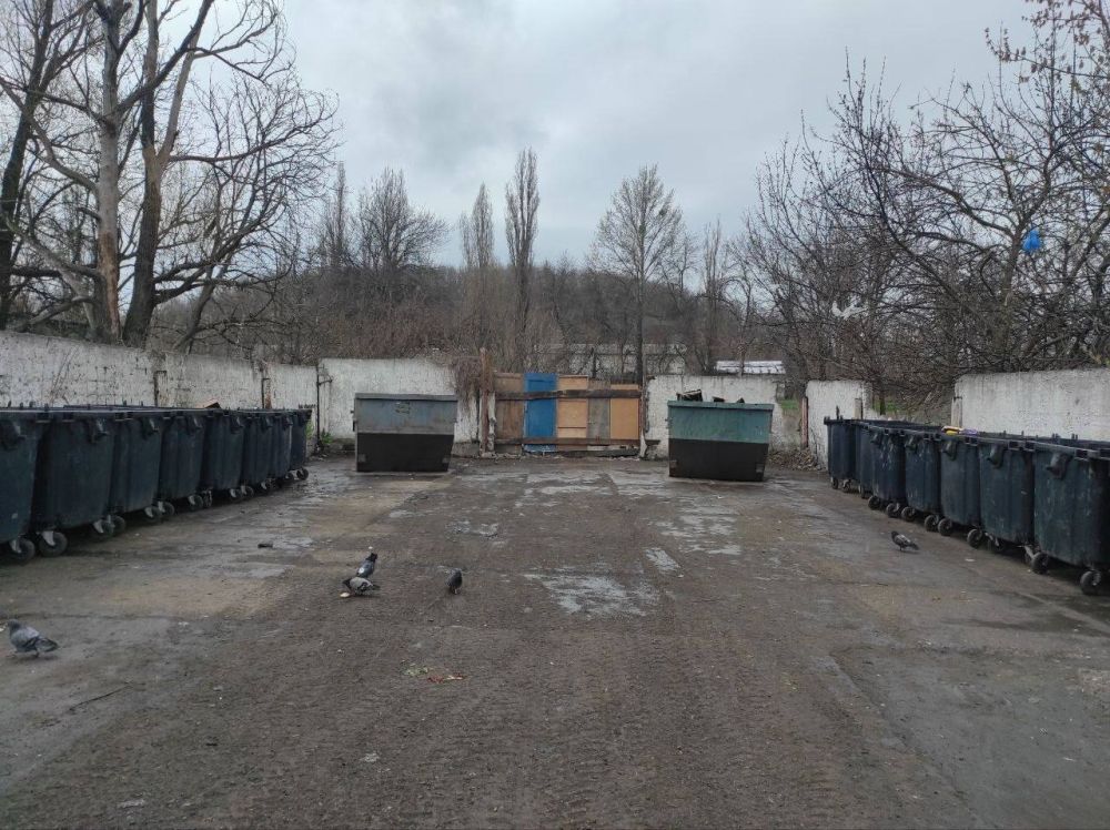 Виктория Сергеева: Коммунальщики в действии. Коммунальные предприятия продолжили заниматься уборкой территории городского округа Виктория Сергеева: Коммунальщики в действии. Коммунальные предприятия продолжили заниматься уборкой территории городского округа