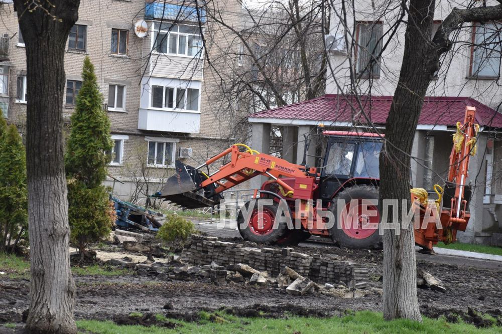 В Ровеньках началась реализация проекта «Каштановая аллея» В Ровеньках началась реализация проекта «Каштановая аллея»