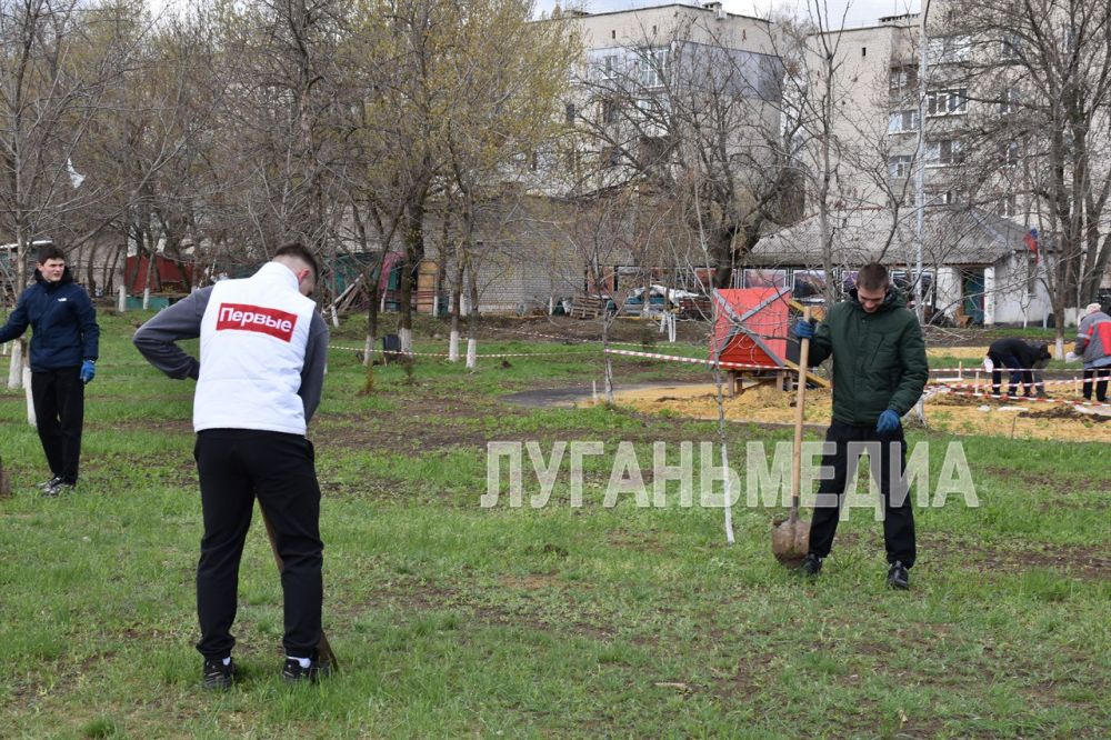 Всероссийская акция «Семейный лес» прошла в Краснодонском муниципальном округе Всероссийская акция «Семейный лес» прошла в Краснодонском муниципальном округе