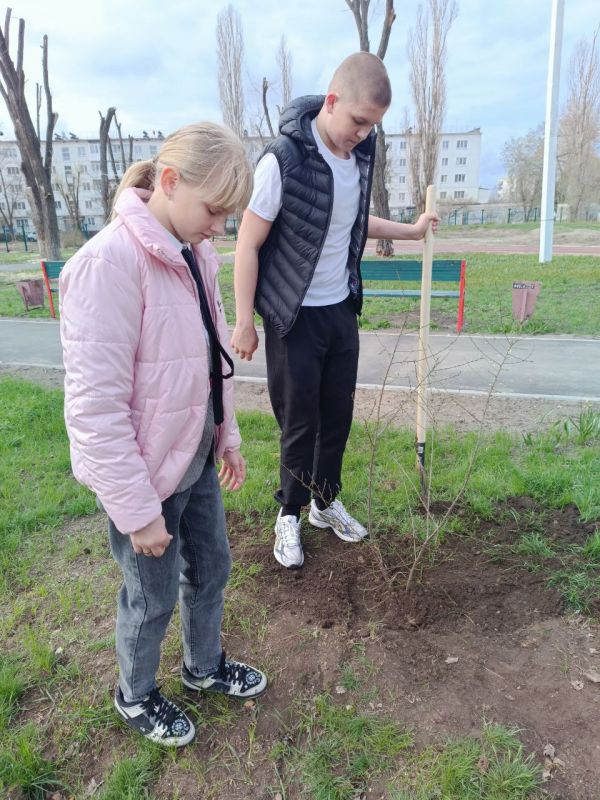 Обучающиеся школы приняли участие в республиканской акции "Чистая Республика - 2025"Ребята облагородили школьный двор и высадили деревья Обучающиеся школы приняли участие в республиканской акции "Чистая Республика - 2025"Ребята облагородили школьный двор и высадили деревья