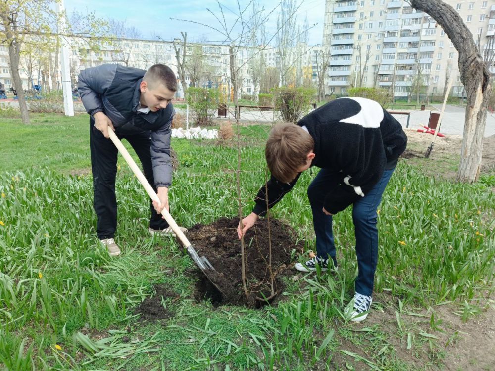 Обучающиеся школы приняли участие в республиканской акции "Чистая Республика - 2025"Ребята облагородили школьный двор и высадили деревья Обучающиеся школы приняли участие в республиканской акции "Чистая Республика - 2025"Ребята облагородили школьный двор и высадили деревья