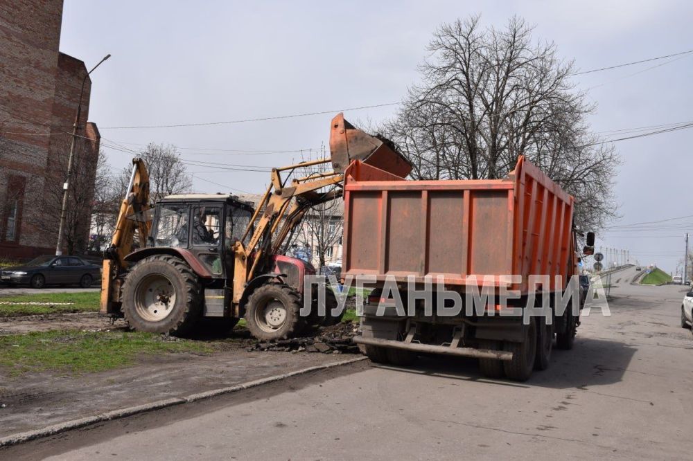В Ровеньках началась реализация проекта «Каштановая аллея» В Ровеньках началась реализация проекта «Каштановая аллея»