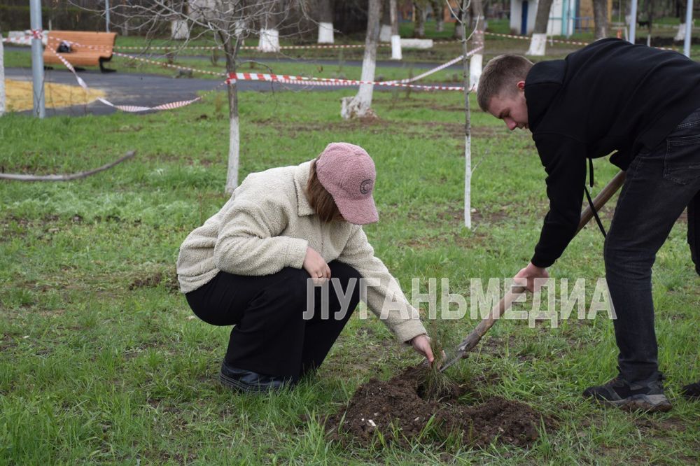 Всероссийская акция «Семейный лес» прошла в Краснодонском муниципальном округе Всероссийская акция «Семейный лес» прошла в Краснодонском муниципальном округе