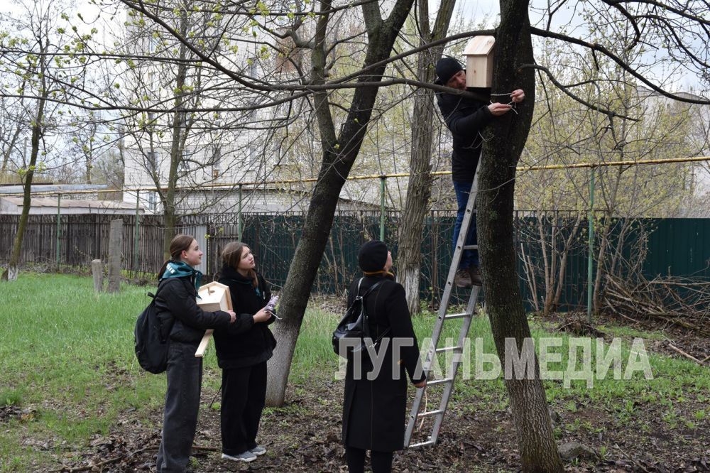 Краснодонский «Юнлеском» принял участие в экологической акции Краснодонский «Юнлеском» принял участие в экологической акции