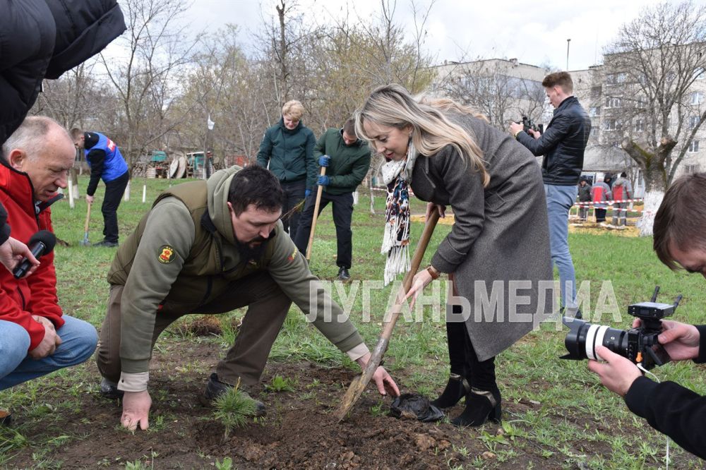 Всероссийская акция «Семейный лес» прошла в Краснодонском муниципальном округе Всероссийская акция «Семейный лес» прошла в Краснодонском муниципальном округе