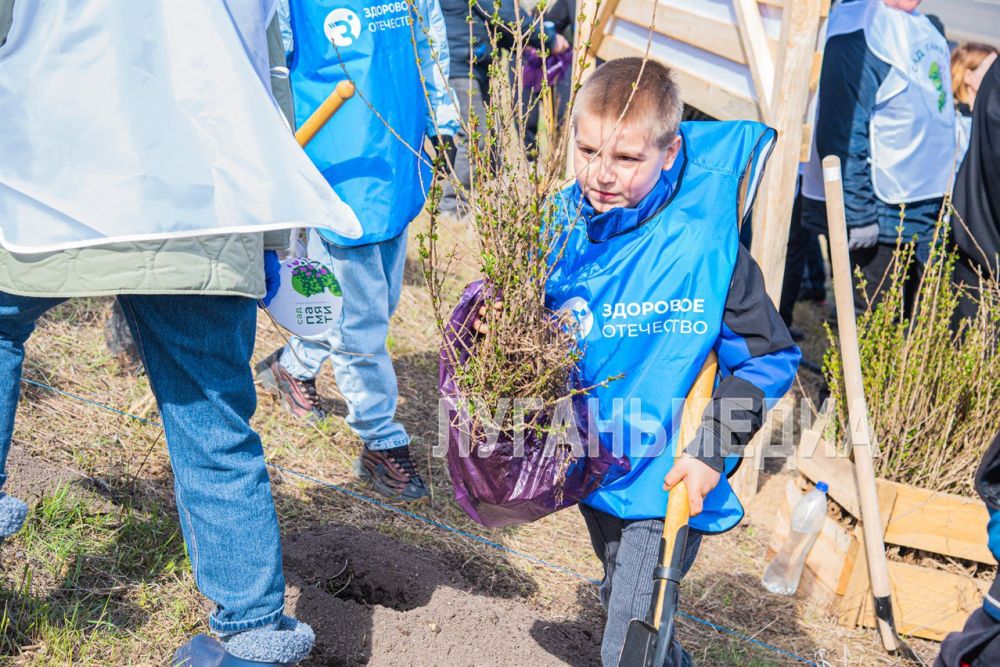 В Новоайдаре прошла акция «Сад памяти» В Новоайдаре прошла акция «Сад памяти»