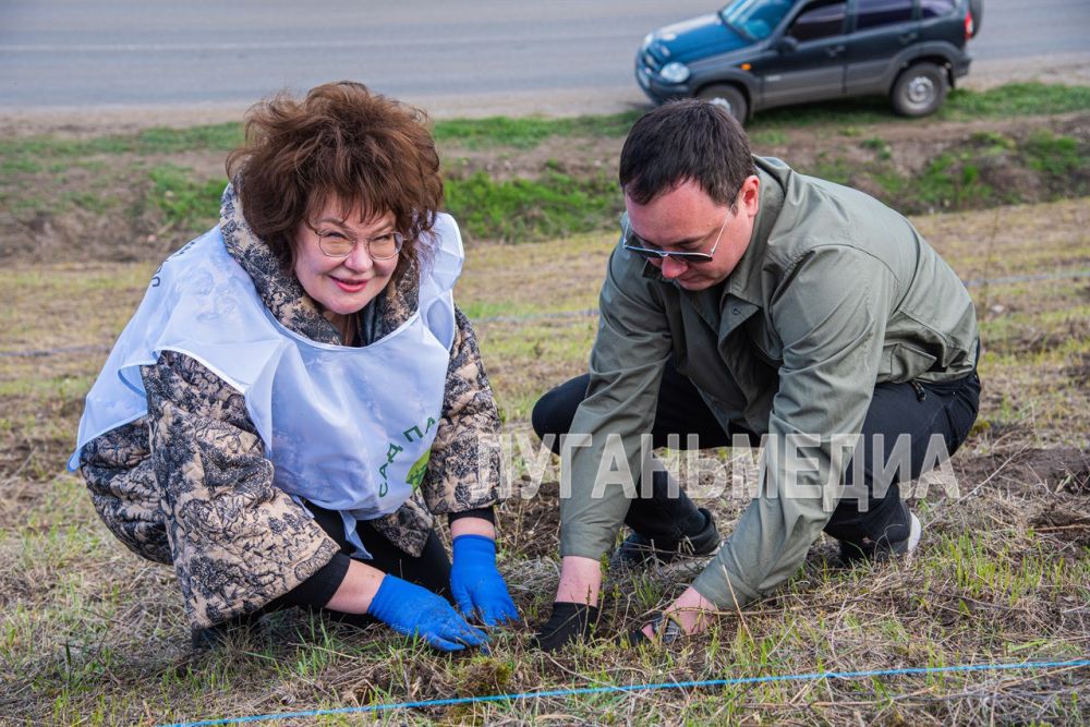 В Новоайдаре прошла акция «Сад памяти» В Новоайдаре прошла акция «Сад памяти»