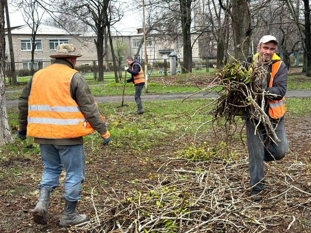 Сергей Колягин: Омела – это полупаразитический вечнозеленый кустарник, который прорастает в проводящие ткани веток, тем самым истощая дерево Сергей Колягин: Омела – это полупаразитический вечнозеленый кустарник, который прорастает в проводящие ткани веток, тем самым истощая дерево