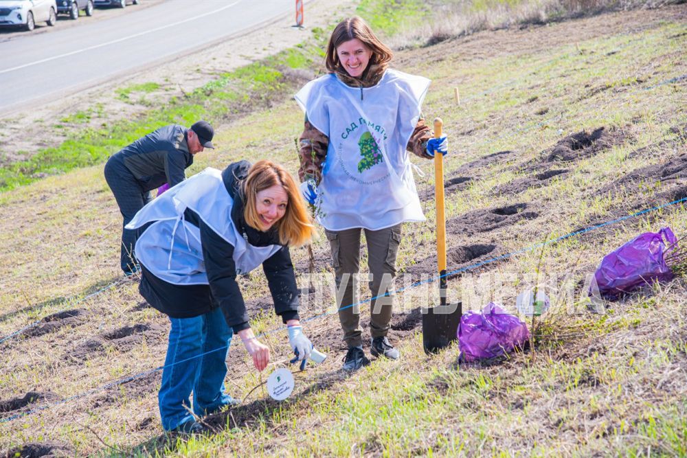 В Новоайдаре прошла акция «Сад памяти» В Новоайдаре прошла акция «Сад памяти»