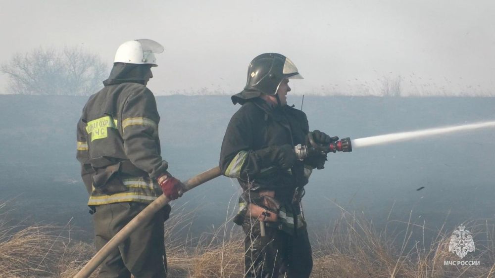 Все больше и больше ландшафтных пожаров ликвидируют спасатели МЧС России на территории Все больше и больше ландшафтных пожаров ликвидируют спасатели МЧС России на территории