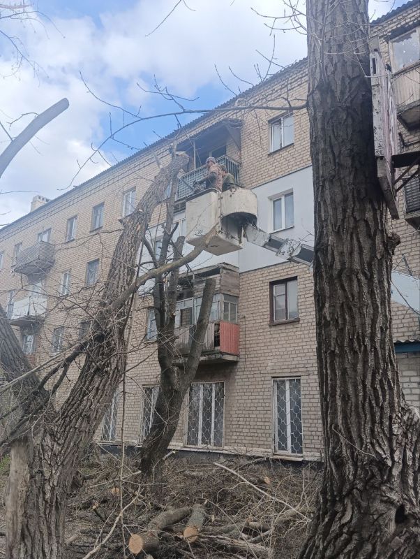 Сергей Козенко: В Краснодонском муниципальном округе в рамках заключенного муниципального контракта начаты работы по удалению и обрезке зелёных насаждений Сергей Козенко: В Краснодонском муниципальном округе в рамках заключенного муниципального контракта начаты работы по удалению и обрезке зелёных насаждений