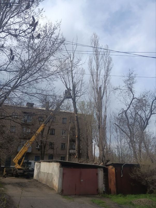 Сергей Козенко: В Краснодонском муниципальном округе в рамках заключенного муниципального контракта начаты работы по удалению и обрезке зелёных насаждений Сергей Козенко: В Краснодонском муниципальном округе в рамках заключенного муниципального контракта начаты работы по удалению и обрезке зелёных насаждений
