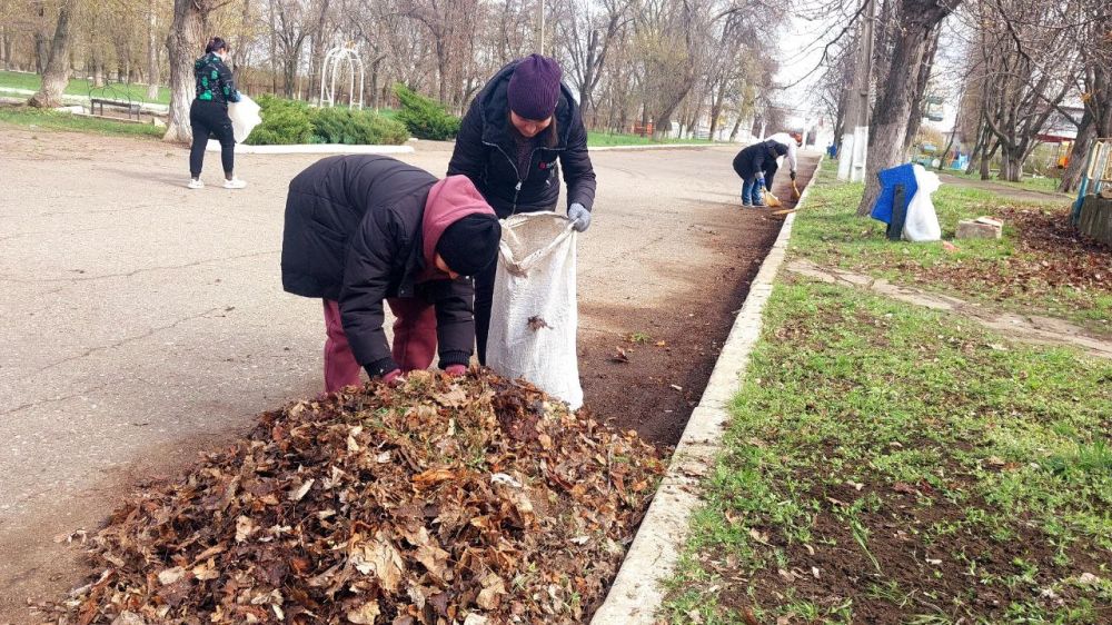В рамках акции «Чистая Республика – 2025» в Кировске состоялся общегородской субботник В рамках акции «Чистая Республика – 2025» в Кировске состоялся общегородской субботник