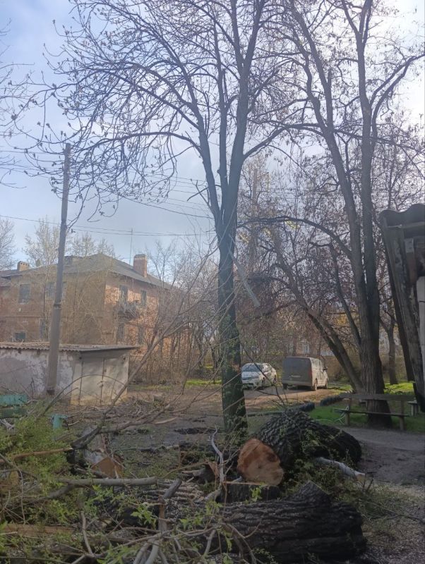Сергей Козенко: В Краснодонском муниципальном округе в рамках заключенного муниципального контракта начаты работы по удалению и обрезке зелёных насаждений Сергей Козенко: В Краснодонском муниципальном округе в рамках заключенного муниципального контракта начаты работы по удалению и обрезке зелёных насаждений