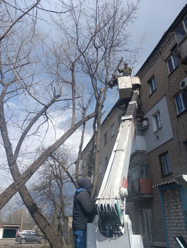Сергей Козенко: В Краснодонском муниципальном округе в рамках заключенного муниципального контракта начаты работы по удалению и обрезке зелёных насаждений Сергей Козенко: В Краснодонском муниципальном округе в рамках заключенного муниципального контракта начаты работы по удалению и обрезке зелёных насаждений