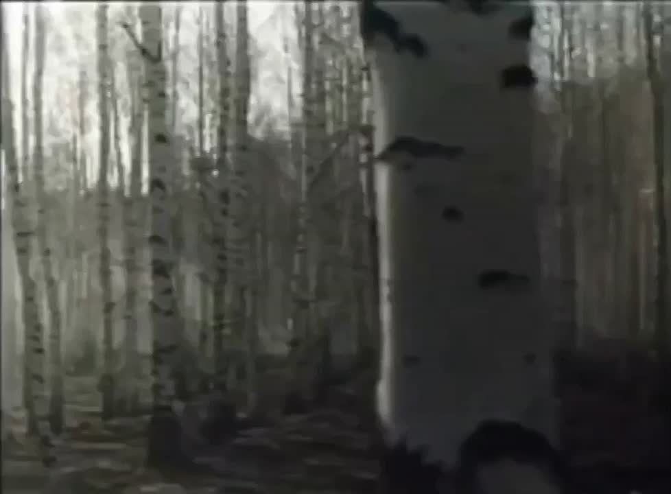    .       .     