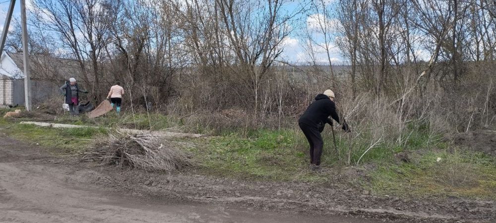 Участие депутатов в субботнике: пример ответственности перед обществом Участие депутатов в субботнике: пример ответственности перед обществом