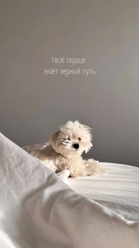 Выбери свой настрой на сегодняшний день! Выбери свой настрой на сегодняшний день!