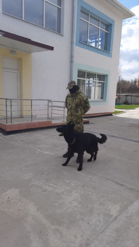 Сегодня в ГБУ ДО ЛНР "Беловодский районный центр детского и юношеского творчества" было проведено интересное мероприятие для участников подросткового центра "Движок" Сегодня в ГБУ ДО ЛНР "Беловодский районный центр детского и юношеского творчества" было проведено интересное мероприятие для участников подросткового центра "Движок"