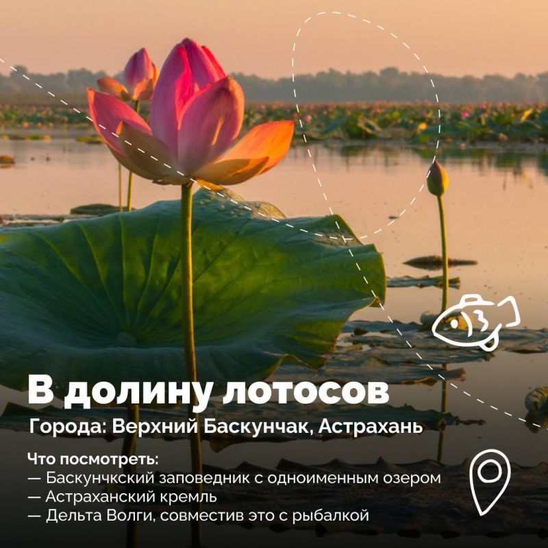 Ночь в поезде, утро — в новом городе Ночь в поезде, утро — в новом городе