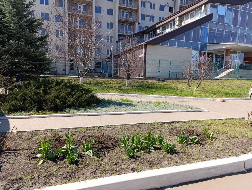 Сотрудники Луганской городской детской поликлиники № 2 приняли участие в общегородском субботнике Сотрудники Луганской городской детской поликлиники № 2 приняли участие в общегородском субботнике