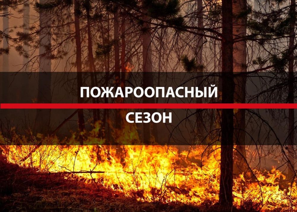 Орловцы привезли гуманитарный груз в Троицкий МО Орловцы привезли гуманитарный груз в Троицкий МО