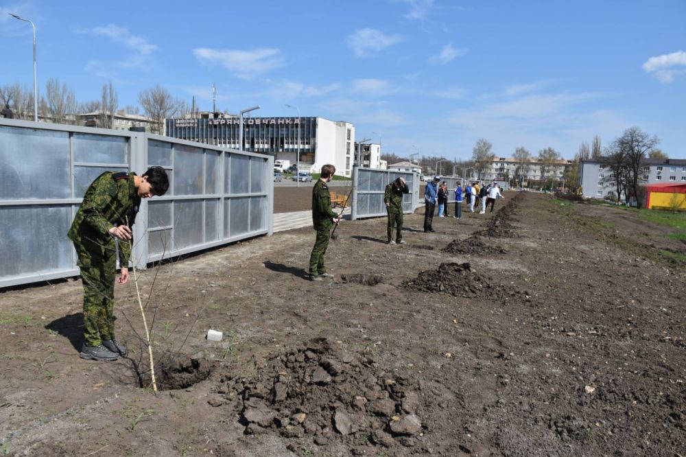 16 апреля, под эгидой партии "Единая Россия" и в рамках международной акции «Сад памяти», приуроченной к 80-летию Победы в Великой Отечественной войне 40 саженцев березы высажены на обновленной Аллее Славы «Брянка. Лица... 16 апреля, под эгидой партии "Единая Россия" и в рамках международной акции «Сад памяти», приуроченной к 80-летию Победы в Великой Отечественной войне 40 саженцев березы высажены на обновленной Аллее Славы «Брянка. Лица...